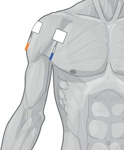 posição do eléctrodo